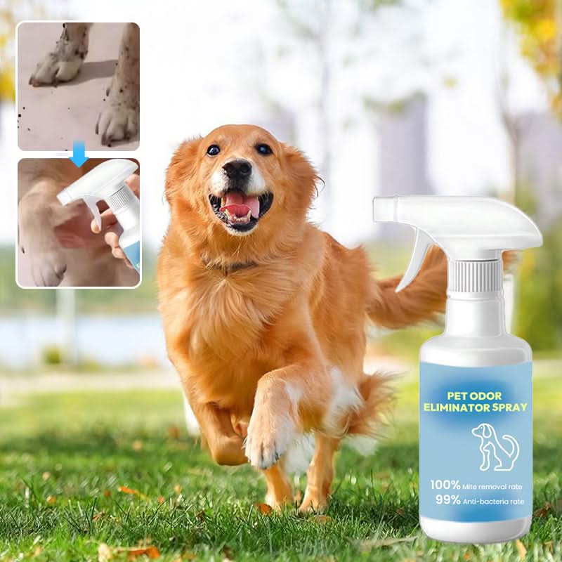 Hondenpotje trainingsspray | 30ml poepspray voor hondentraining - Puppy voor binnen en buiten, vlekken en geuren verwijderen