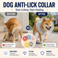 🔥FLASH SALE🔥 Ademende Mesh Hondenmuilkorf – Volledig Bedekkend, Stopt Scharrelen & Likken – Ultralicht Nylon, Verstelbaar – Voor Kleine & Middelgrote Honden! 🐕✨