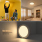 💥Grote Uitverkoop - 50% Korting💡 Oplaadbare Bewegingssensor Plafondlamp met Afstandsbediening - Magnetische Draadloze Plafondlamp op Batterij