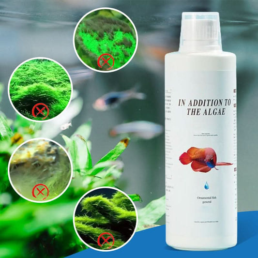 💥Net als in een aquarium! 🐟Automatische afbraak, geen waterverversing nodig, verwijdert algen.✨