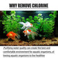 Koop 2 krijg 1 gratis💰💰Vijvers Aquariums Chloorverwijdering Tabletten📢📢Laatste 3 uur: Grote uitverkoop ⌛⌛