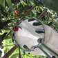 🍎 Fruitplukker met opvangmand