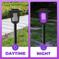 🦟 50% KORTING! Insectenverdelger op zonne-energie – dubbel licht, automatische dag-/nachtmodus, 3 modellen. Meer dan 50.000 verkocht! ☀️🔋
