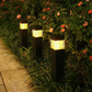 🥳HOT SALE🥳💞50.000+ VERKOCHT! Zonne-Tuinverlichting – 2+1 GRATIS! Waterdicht, automatische sensor & gelaagde projectie. Verlicht uw tuin – bestel nu! ✅