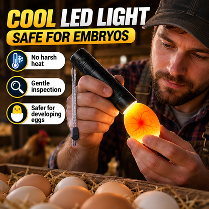 🔥FLASH SALE🔥 Oplaadbare LED Ei-schouwer – Heldere Embryo-zichtbaarheid, Koele LED – Aluminiumlegering, USB Oplaadbaar – Voor Kippen-, Kwartel- & Eendeneieren! 🥚✨