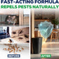 👍Natuurlijke pepermuntolie insecten- en ongediertespray🪳🦟 – Maximale sterkte - Veilige geurformule voor huis & tuin