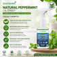 👍Natuurlijke pepermuntolie insecten- en ongediertespray🪳🦟 – Maximale sterkte - Veilige geurformule voor huis & tuin
