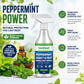 👍Natuurlijke pepermuntolie insecten- en ongediertespray🪳🦟 – Maximale sterkte - Veilige geurformule voor huis & tuin