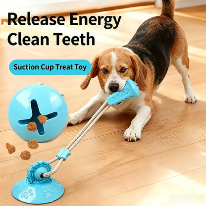 🐕Interactief Snoepbal Speelgoed🐕 – Met Zuignap & Kauwverlichting – Ideaal voor Binnen Spelen, Energie Verbranden & Tanden Schonen ⚡