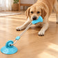 🐕Interactief Snoepbal Speelgoed🐕 – Met Zuignap & Kauwverlichting – Ideaal voor Binnen Spelen, Energie Verbranden & Tanden Schonen ⚡