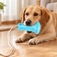 🐕Interactief Snoepbal Speelgoed🐕 – Met Zuignap & Kauwverlichting – Ideaal voor Binnen Spelen, Energie Verbranden & Tanden Schonen ⚡